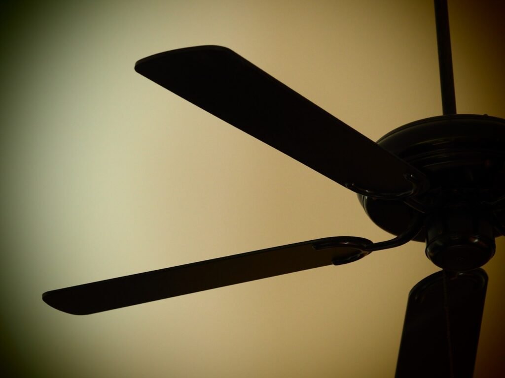 ceiling fan